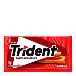 Chic Trident Canela 8g