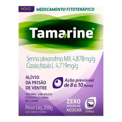 Tamarine Gel Zero Acuc 250g