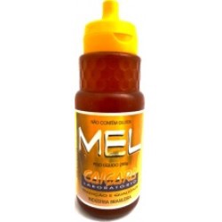 Mel Silvestre Puro Bisnaga 280g (venceu)